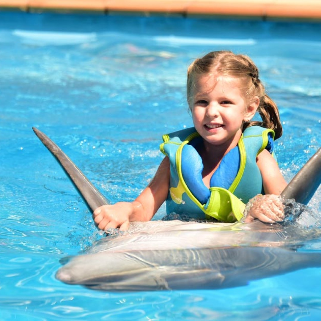 Плавание с дельфинами в Севастополе